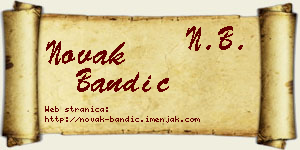 Novak Bandić vizit kartica